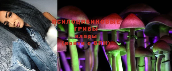 молекула духа Арсеньев