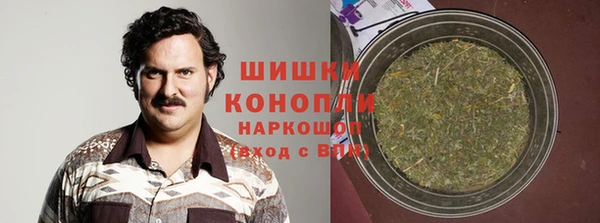 молекула духа Арсеньев