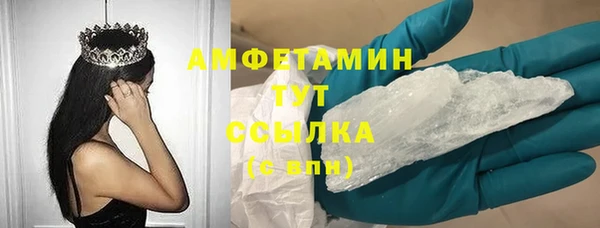 молекула духа Арсеньев