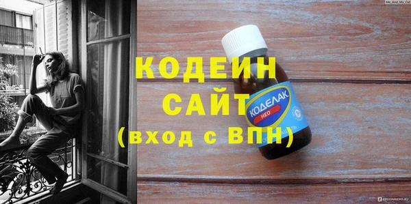 молекула духа Арсеньев
