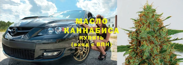 молекула духа Арсеньев