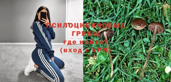 молекула духа Арсеньев