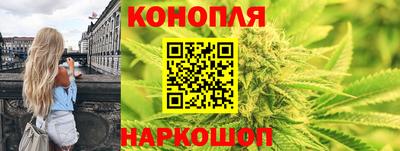 apvp Братск
