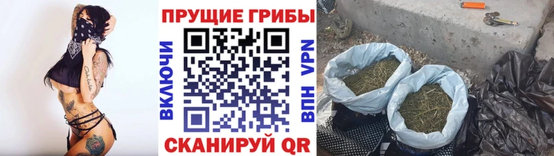 Галлюциногенные грибы Magic Shrooms Бор