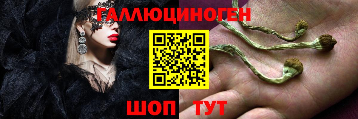 Псилоцибиновые грибы MAGIC MUSHROOMS  Вход с VPN  Псилоцибиновые грибы прущие грибы  Бор 
